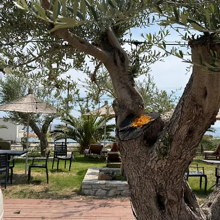 Paradise Beachfront * Borsh